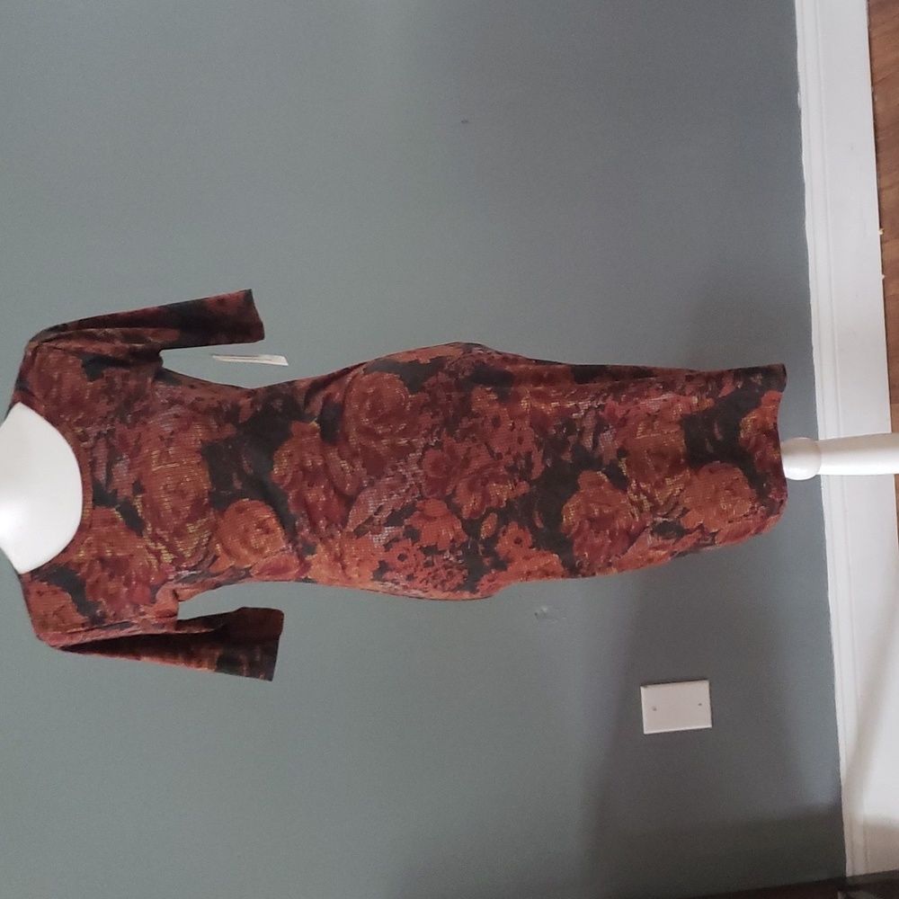 LulaRoe Julia XS Dress
